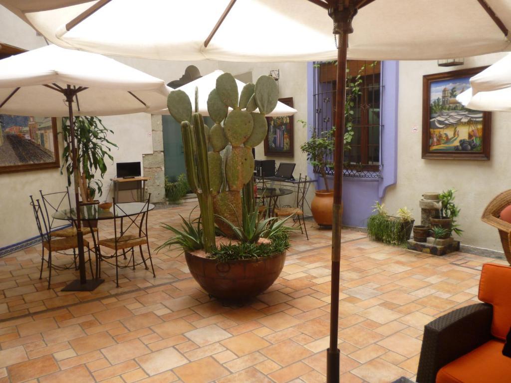 Hotel Trebol Oaxaca Quarto foto