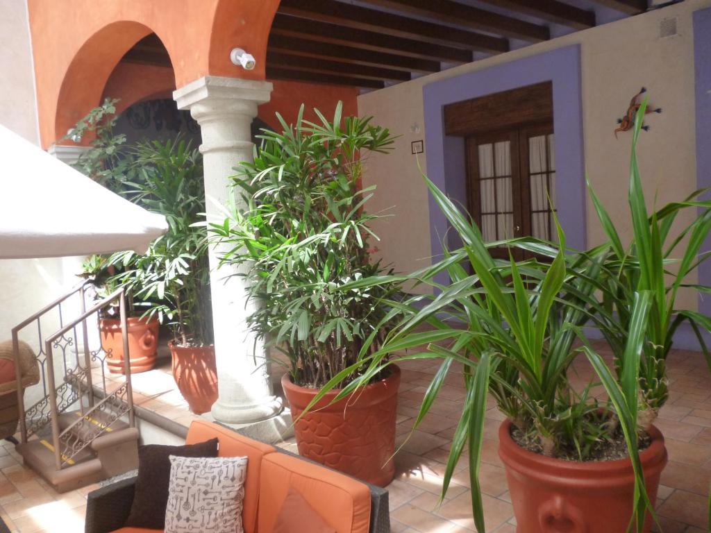 Hotel Trebol Oaxaca Quarto foto
